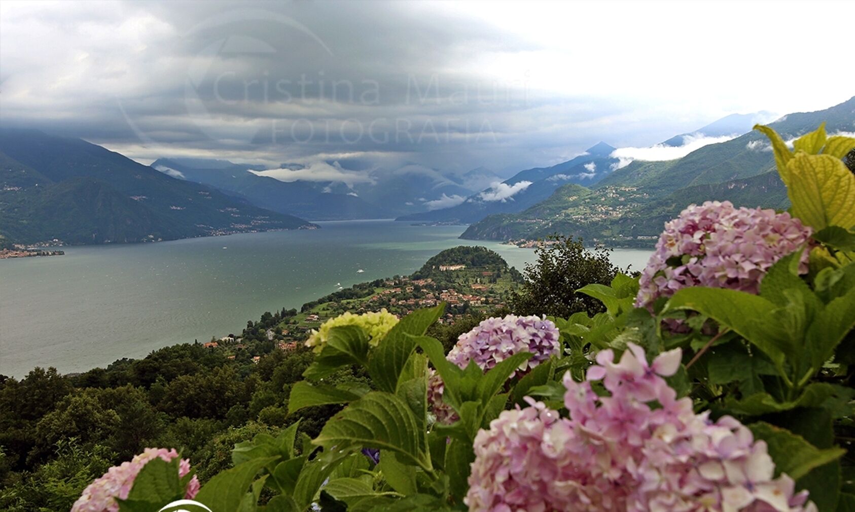 A mountainous landscape with a lake, greenery, and hydrangea flowers in the foreground.