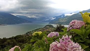 A mountainous landscape with a lake, greenery, and hydrangea flowers in the foreground.