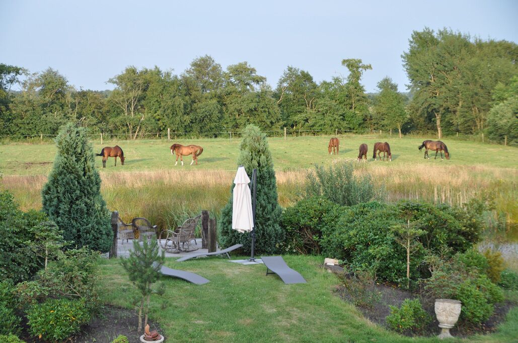 Un campo cubierto de hierba con caballos pastando y un pequeño jardín con un banco y un árbol.