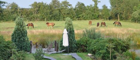 Un campo cubierto de hierba con caballos pastando y un pequeño jardín con un banco y un árbol.