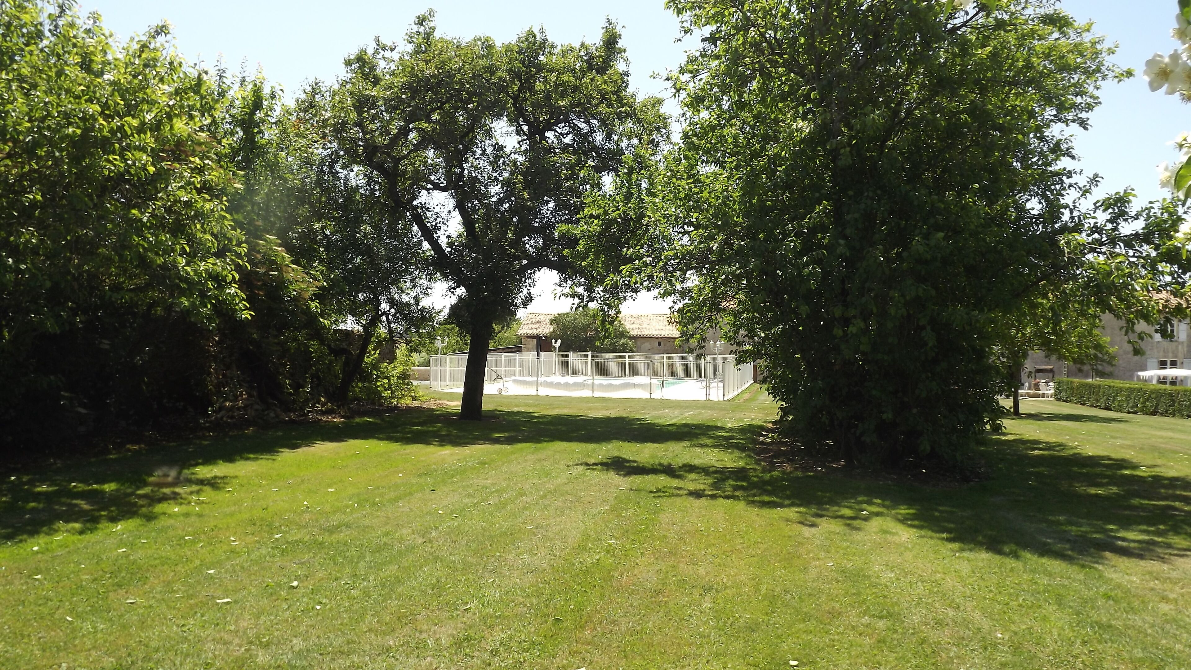 A grassy area with trees and a building in the background.