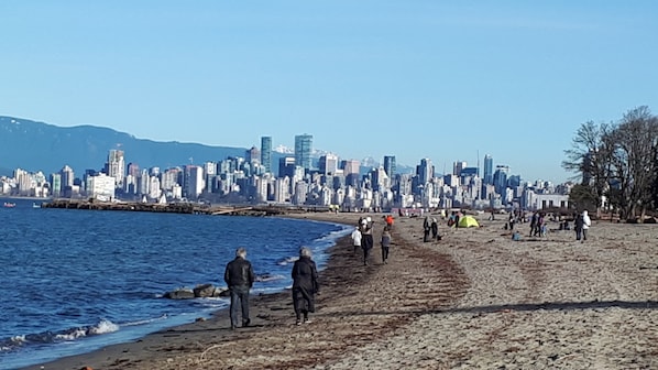 Tumbonas y toallas de playa