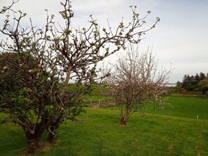 Ulkoalueet