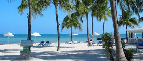 サンラウンジャー、ビーチタオル