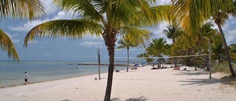 Sun loungers, beach towels