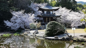 Een traditioneel Japans paviljoen, omringd door kersenbloesems en een vijver.