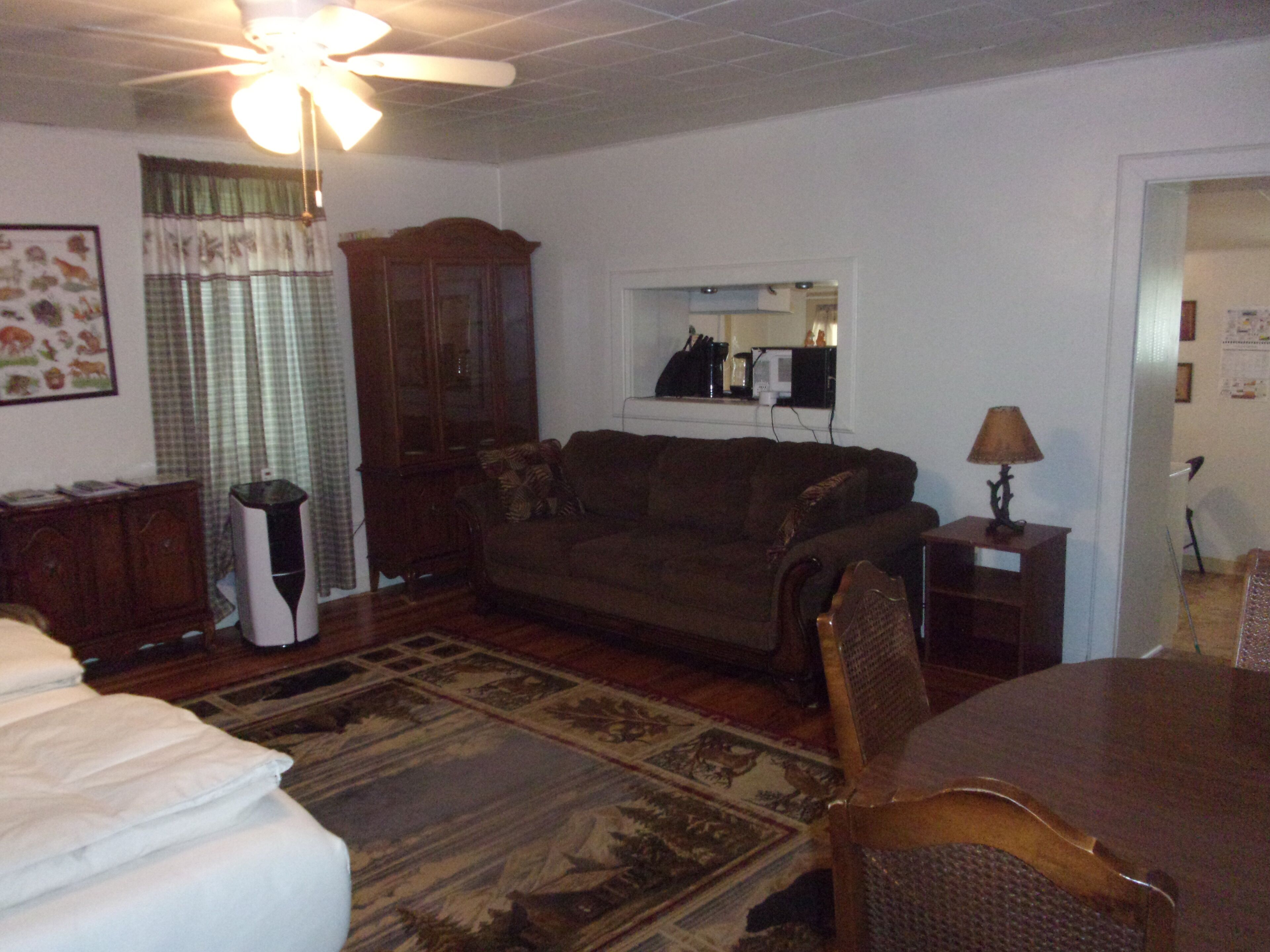 Smart TV, chimenea y reproductor de DVD 