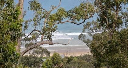 Birdsong - Bring Your Pet & Enjoy WIFI