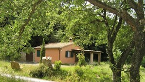 Ein rustikales Haus, umgeben von üppigem Grün, mit einer Steinsitzbank und einem kleinen Garten.