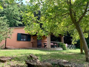 Terrace/patio - I Noci (Montescudaio)