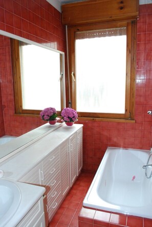 Combined shower/tub, hair dryer, bidet, towels