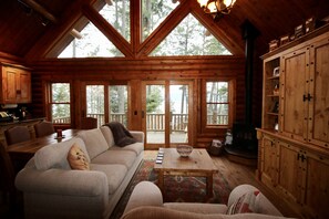 Smart TV, fireplace, DVD player, books