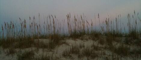 A wooden deck with a picnic table and chairs, overlooking a beach with sand dunes and tall grasses.