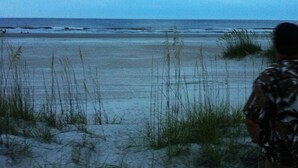 En strand med sand och gles vegetation.