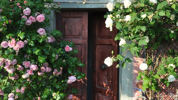 A wooden door with a small overhang, a metal plaque above it, and a garden with pink and white roses. - Charming country house in a quiet location with fantastic views and pool (Aramo)
