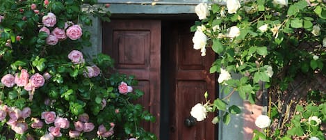 Détail de l’extérieur