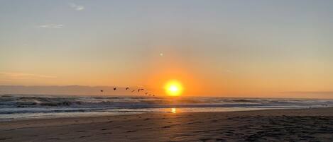 Beach nearby, sun loungers