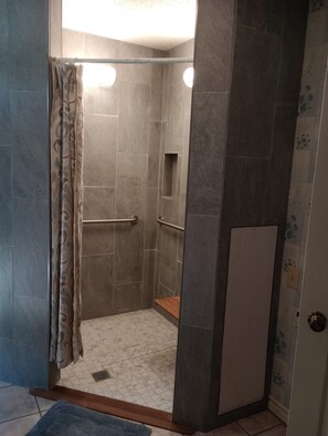 Combined shower/bathtub, bidet, towels, soap - Center Point, Tx   Charming country home in the heart of the Hill Country  (Center Point)