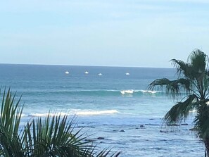 على الشاطئ، كراسي للتشمس، مناشف للشاطئ