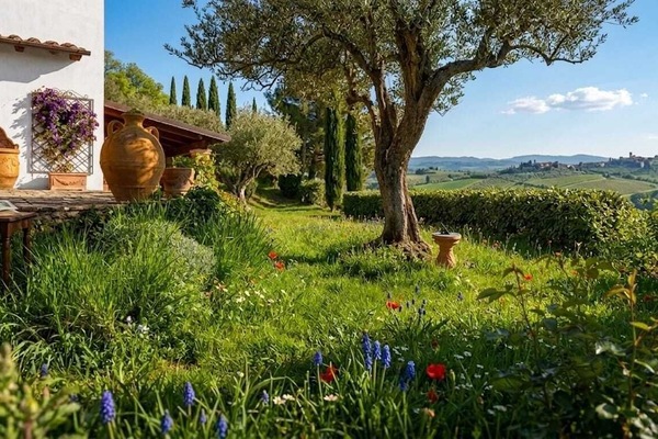 Terrein van de accommodatie