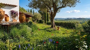 A garden with a tree, potted plants, and a view of rolling hills.