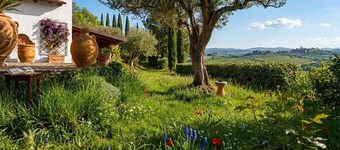 Sarkeep - Villa immergée dans les vignobles de Taurasi