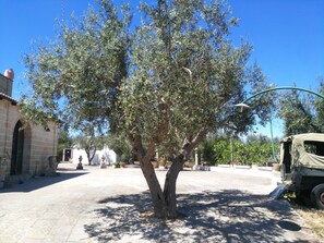 Terrein van de accommodatie