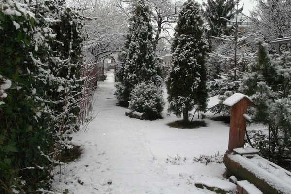 Unser Garten im Winter