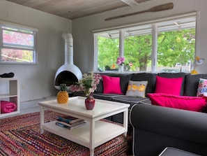 Smart TV, fireplace, DVD player, books