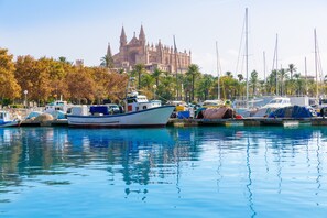 A marina with boats docked, palm trees, and a historic cathedral in the background.