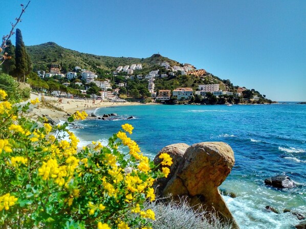 Beach - FRANCESC MACIA 57 3B  Roses (Rosas / Roses)