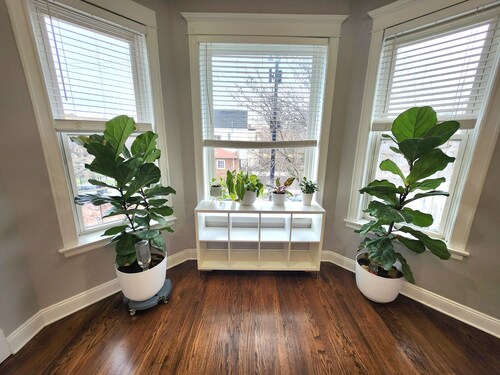 Large 3 bdrm / dining in the heart of Logan Square mins to DOWNTOWN