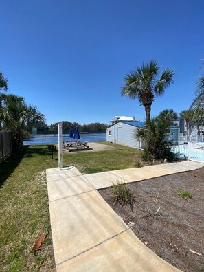 A clear view of a swimming pool area with a picnic table and umbrellas, surrounded by a fence and palm trees.