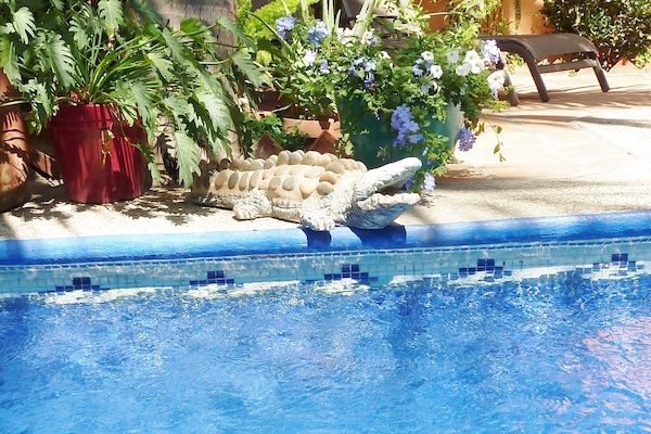 حمّام سباحة مُدفَّأ