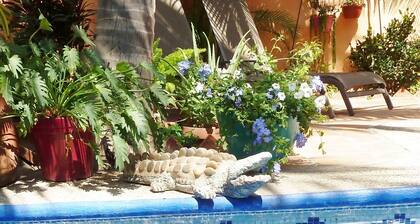 1BED/1BATH~ZONA DORADA~1 BLOCK to BEACH~FULL KITCHEN~HEATED POOL~A/C~LAUNDRY