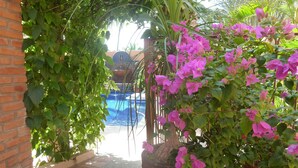 Zona de piscina con muro de ladrillo, follaje verde y una planta grande en maceta con flores rosadas.