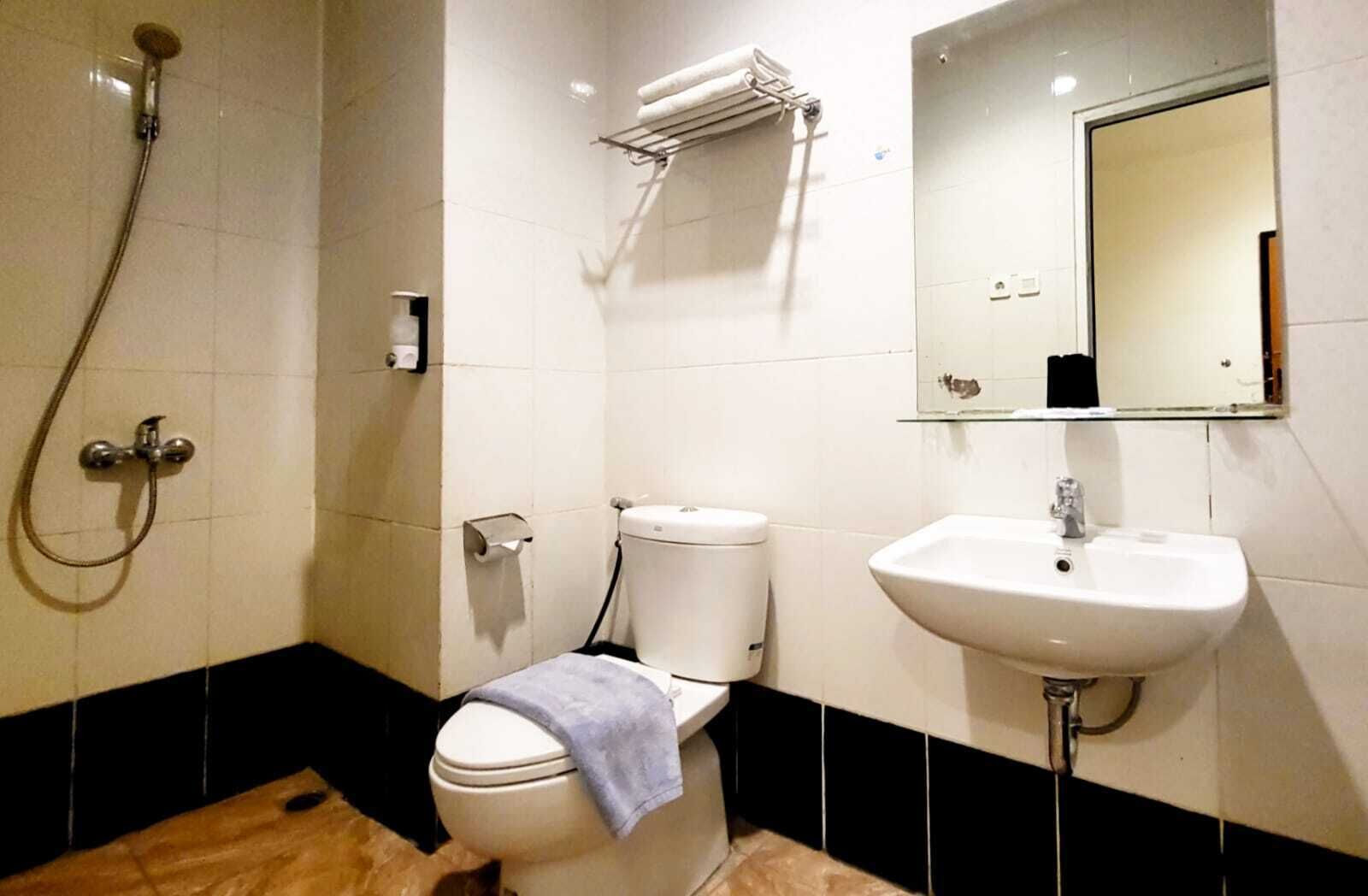 Un bagno con un water, un lavandino, uno specchio, un portascopevoli e una doccia.