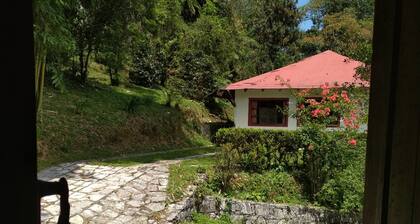 Hotel & Cabañas amara Café