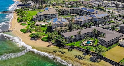 Waterfront condo on the ground floor with a pool, ocean views & beach access