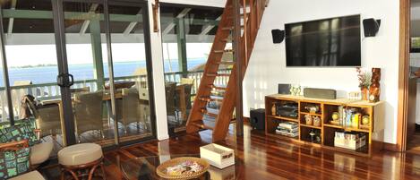 TV, DVD player, books, video library