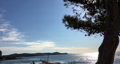 "Alienor", charmant appartement au sein d'une pinĂšde