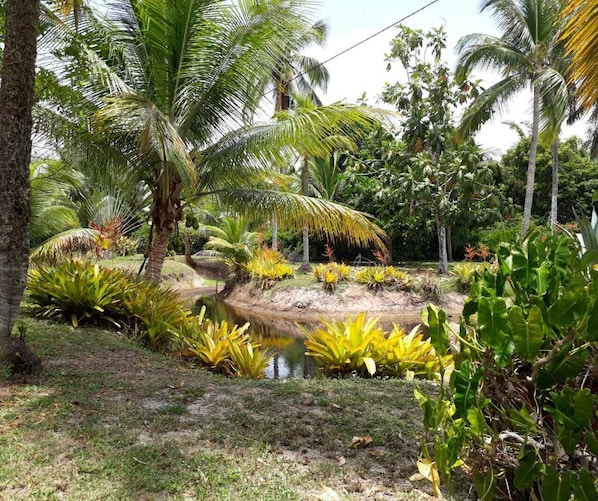 Terrein van de accommodatie