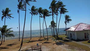 Blick auf einen Strand mit Palmen, einer Bank und einem kleinen Gebäude mit rotem Dach.