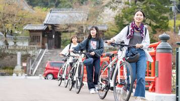 A row of bicycles parked along a pathway with a traditional building in the background.