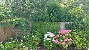 A garden with various flowering plants and a wooden fence. - Independent studio + enclosed garden in Penmarc'h. Plage du Ster 800m away, laTorche 5 kms away (Penmarch)