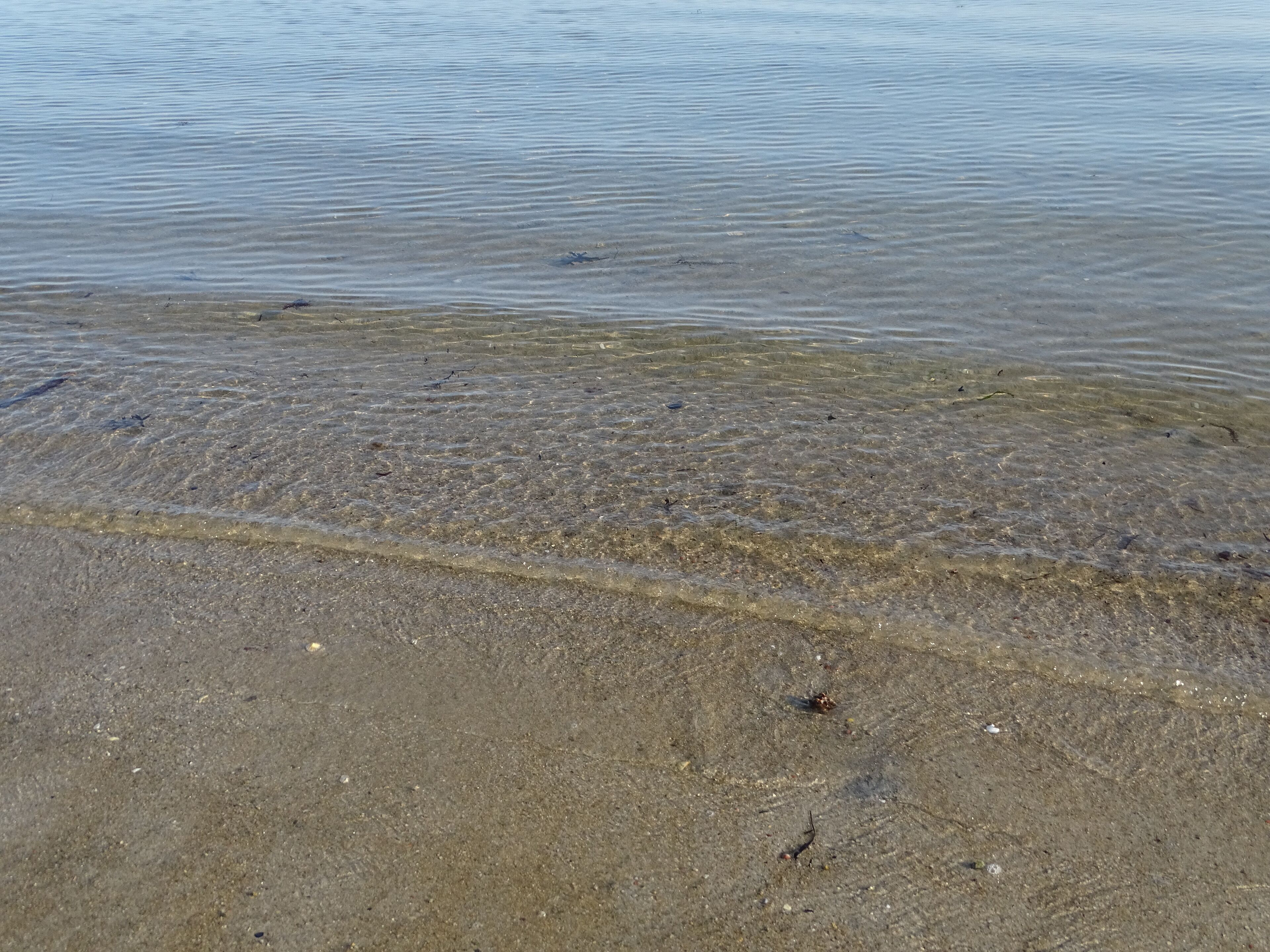 Une plage de sable fin avec une eau claire et peu profonde.