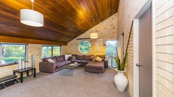 TV, fireplace, DVD player, ping pong