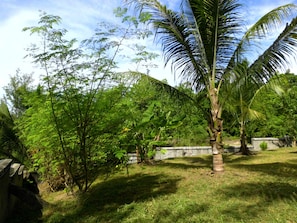 Taman