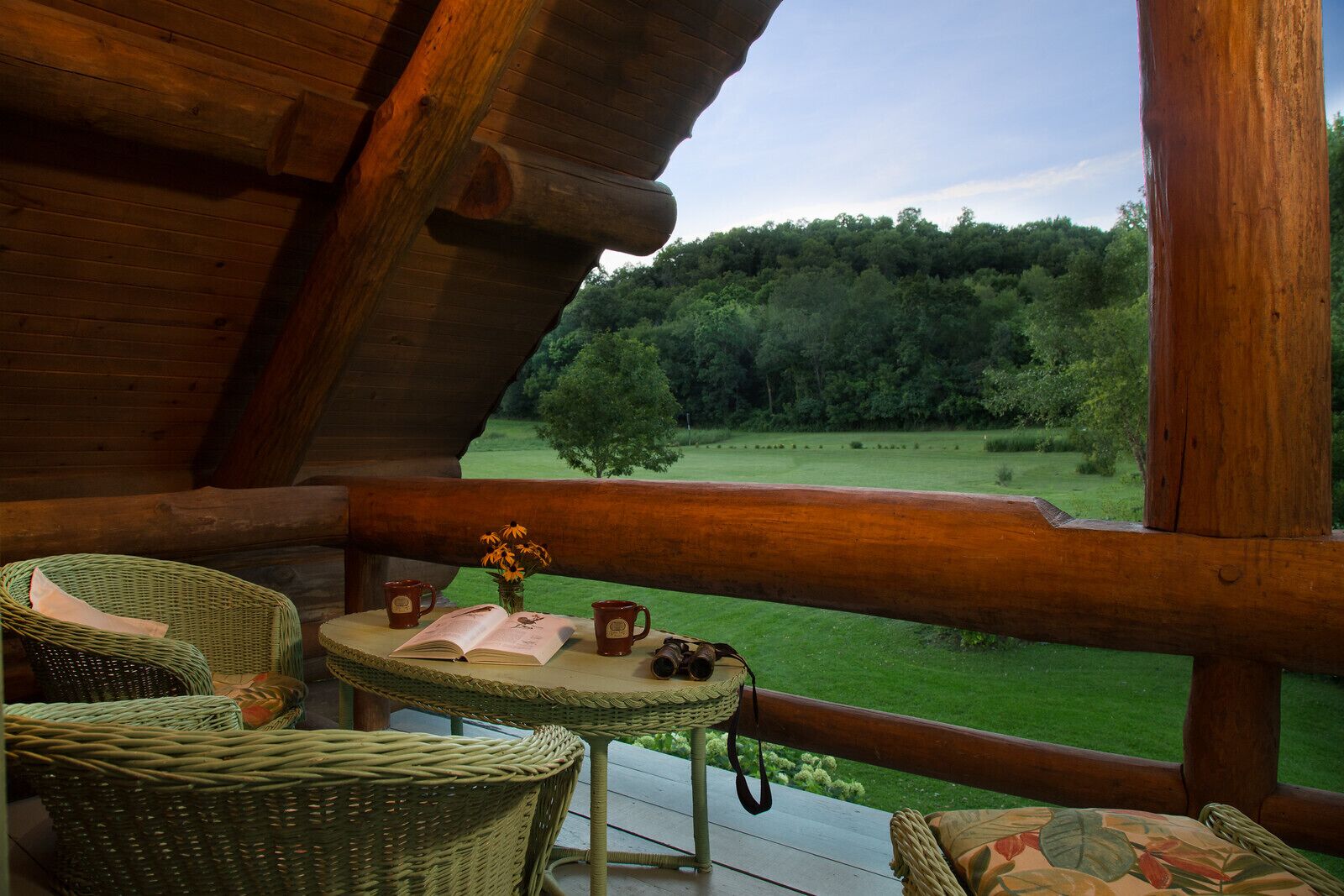 Log cabins in quiet, peaceful Driftless Region country getaway, Sparta, WII