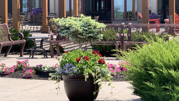 Une terrasse extérieure avec des bancs en bois, un pot de fleurs et une vue sur un immeuble doté de grandes fenêtres.